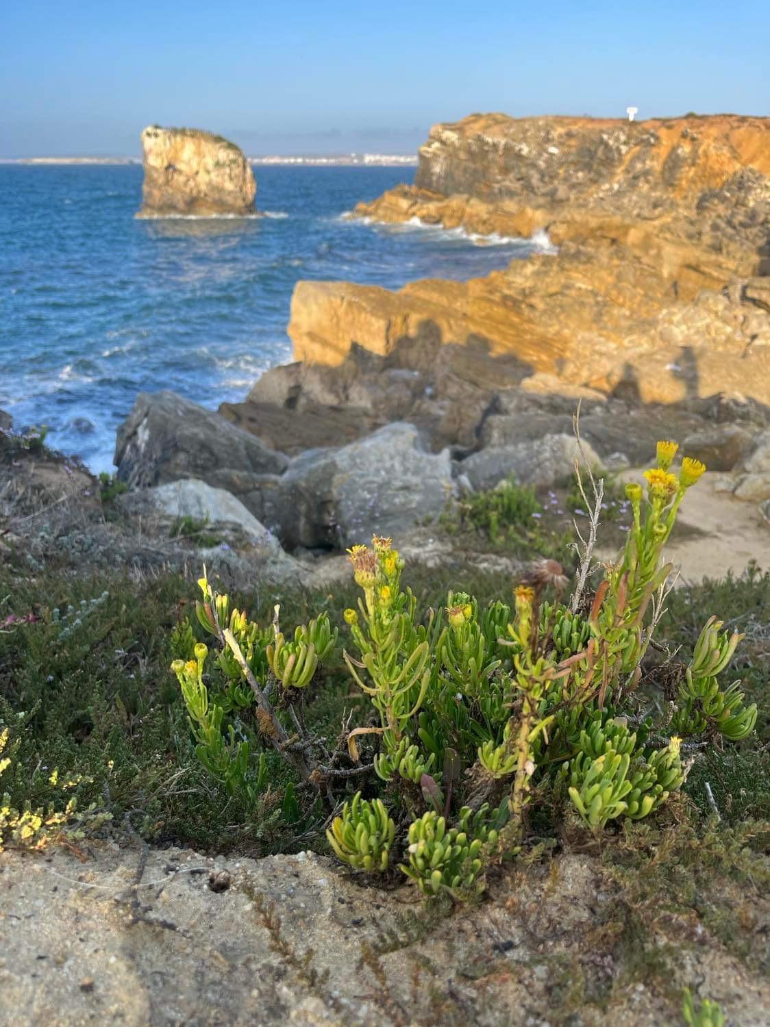 Peniche Hostel Exterior photo